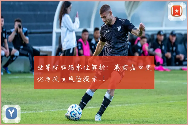 世界杯临场水位解析:赛前盘口变化与投注风险提示_1